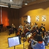Beim Cello-Orchester-Workshop der 