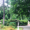 Rhododendronpark im Ostseeheilbad Graal-Müritz 2023 (Foto: Archiv)